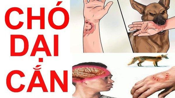 Ảnh hưởng tới hệ thần kinh