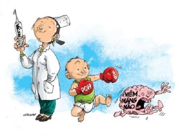 Bài thuốc đông y chữa viêm màng não hiệu quả