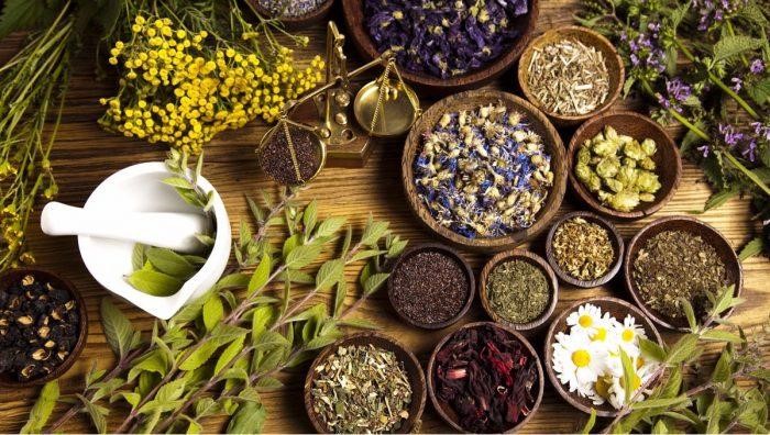 Bài thuốc y học cổ truyền giúp điều trị bệnh hiệu quả