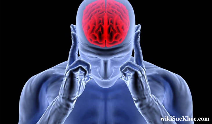 Bệnh chấn thương sọ não: Khái niệm, nguyên nhân, triệu chứng, phòng ngừa