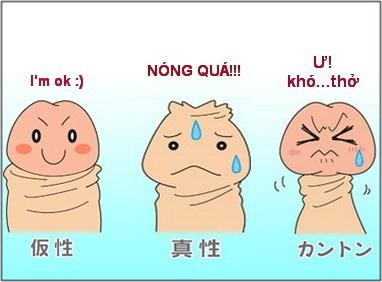 Bệnh dài bao quy đầu