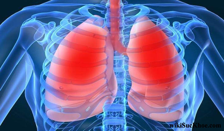 Bệnh lao phổi: Khái niệm, nguyên nhân, biểu hiện, điều trị, cách phòng ngừa