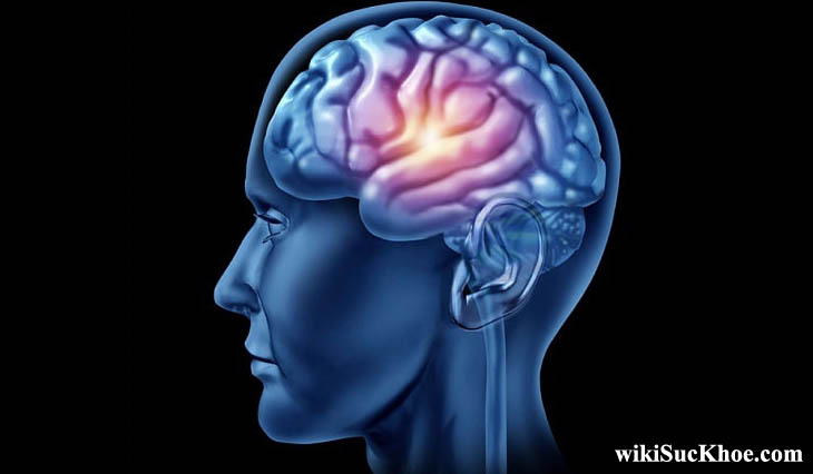 Bệnh teo não: Khái niệm, nguyên nhân, triệu chứng, điều trị, cách phòng ngừa