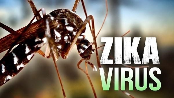 Bệnh virus zika là bệnh như thế nào?