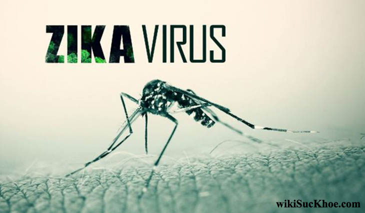 Bệnh virus zika: Khái niệm, nguyên nhân, biểu hiện, điều trị, cách phòng ngừa
