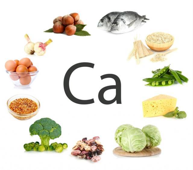 Các thực phẩm giàu canxi tốt cho xương và tránh bệnh teo cơ