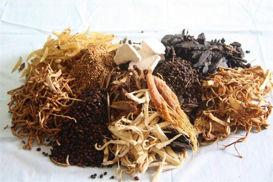 Các vị thuốc Đông Y chữa lao phổi tốt nhất