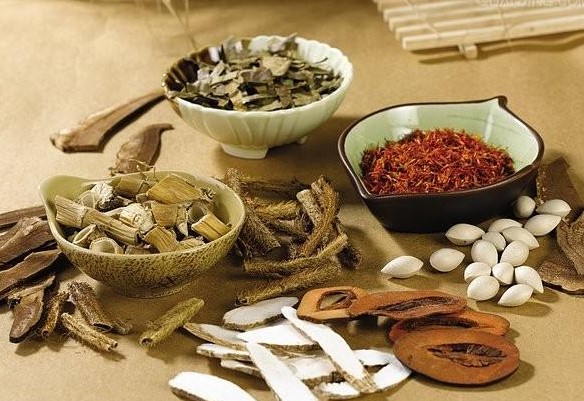 Chữa bệnh teo não bằng bài thuốc đông y