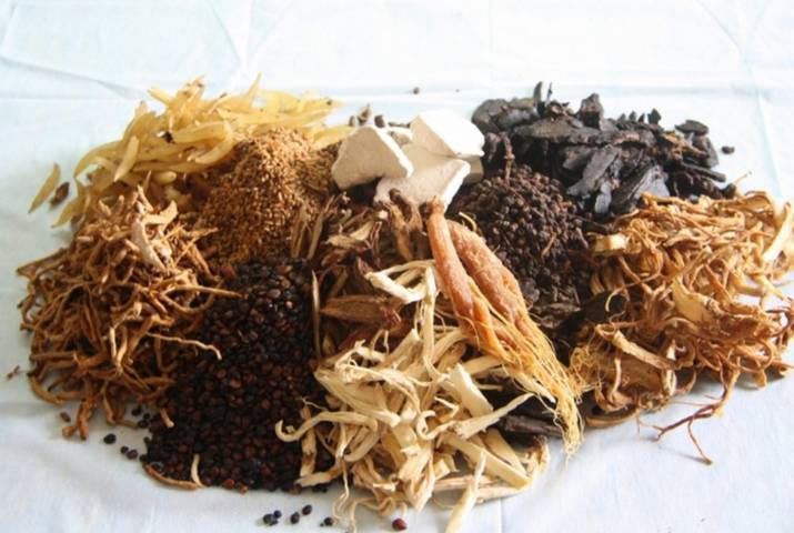 Phương pháp điều trị bằng đông y