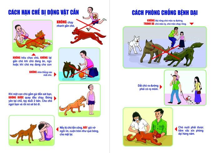 Điều trị và phòng ngừa bệnh dại hiệu quả