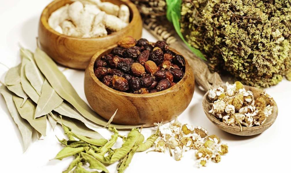 Phương pháp điều trị bệnh viêm amidan bằng đông Y