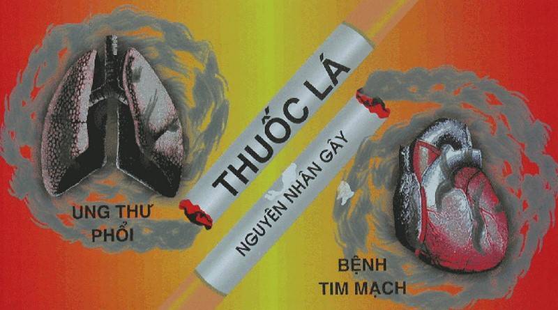 Hút thuốc lá là một trong những nguyên nhân gây ra tình trạng bệnh tim mạch