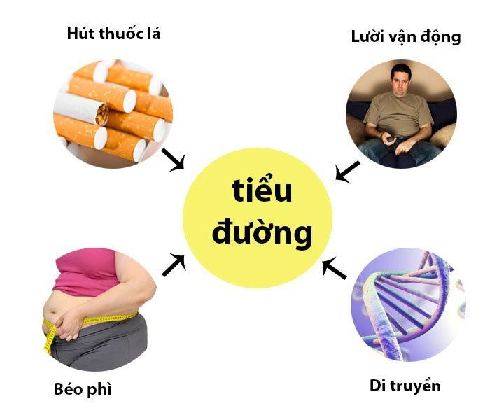 Nguyên nhân bệnh tiểu đường