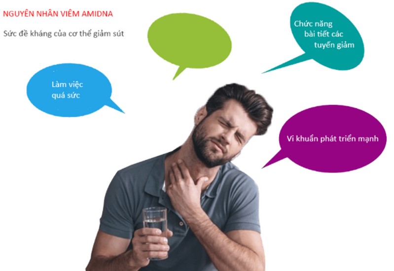 Nguyên nhân dẫn đến bệnh viêm amidan