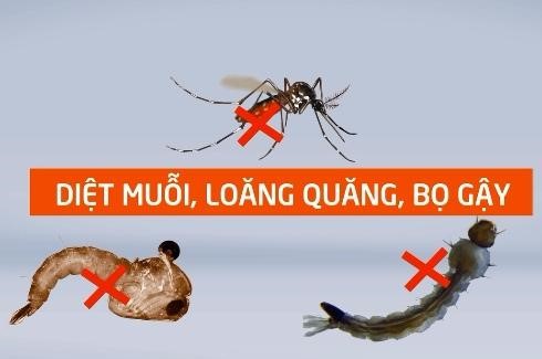 Nguyên nhân chính gây bệnh sốt xuất huyết là do vi rút Dengue