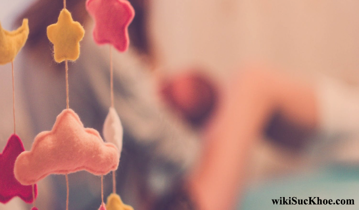 Cây đinh lăng lợi sữa cho bà bầu Cây đinh lăng lợi sữa cho bà bầu