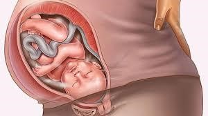 Thai lưu có thể xảy ra ở mọi giai đoạn của thai kỳ