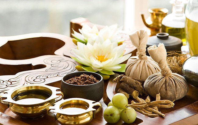 Thuốc Đông Y chữa bệnh mang lại hiệu quả cao