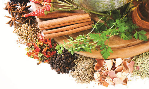 Thuốc Nam y được nhiều người lựa chọn
