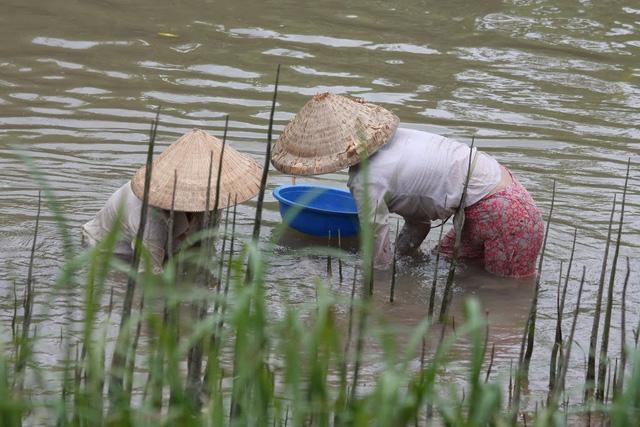 Tiếp xúc với nước bẩn