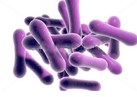 Vi khuẩn bạch hầu gây nên những nguy hiểm cho sức khỏe