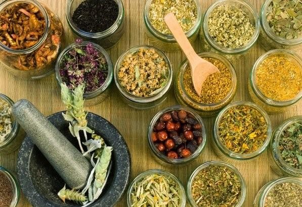 Các vị thuốc đông y giúp điều trị bệnh u nang tuyến giáp