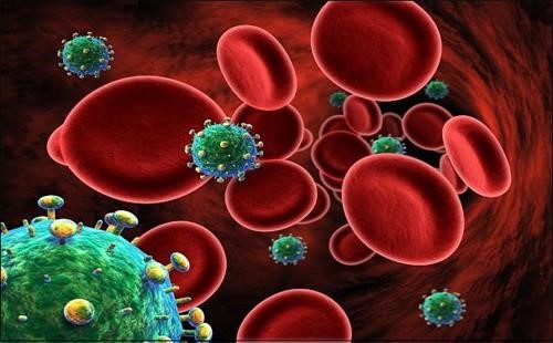 Virus HIV tấn công vào cơ thể