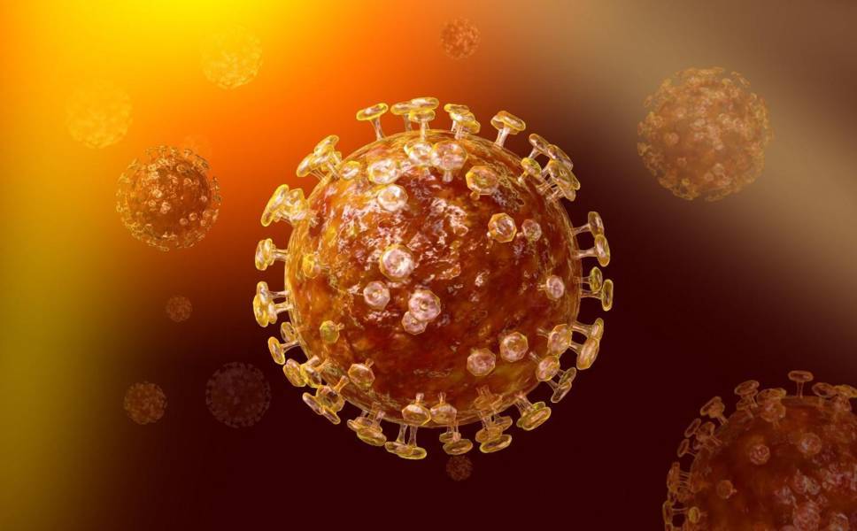 Virus sởi nguy hiểm